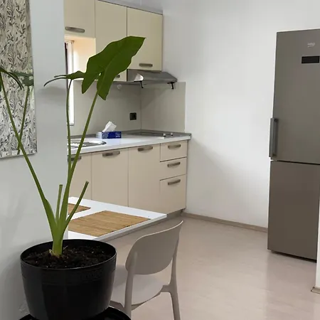 Ani With Fireplace 티라나